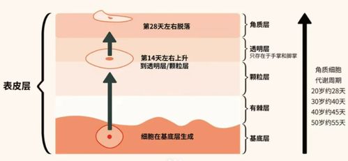 2024祛斑段位榜 寶藏級(jí)產(chǎn)品親測(cè)，還你干凈無瑕肌膚